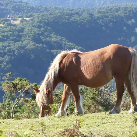 Alojamento de Acomodação e Pequeno-almoço MaÏtasuna Chambres d'hôtes